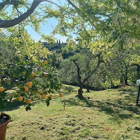 Le Massucce San Casciano in Val di Pesa Buitenkant foto