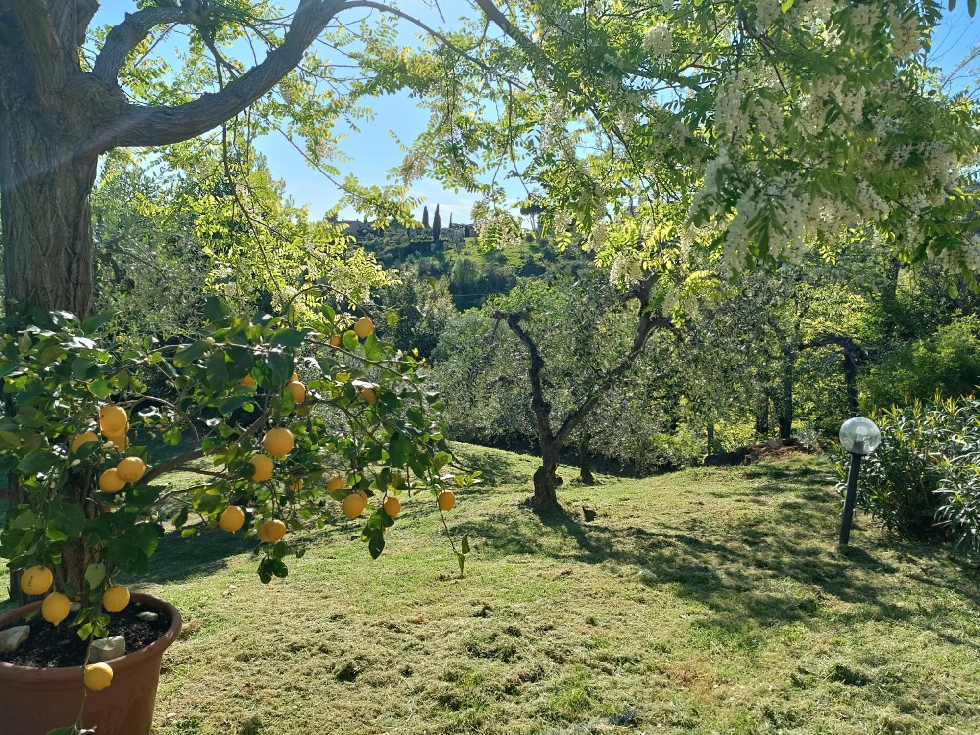 Le Massucce San Casciano in Val di Pesa Buitenkant foto
