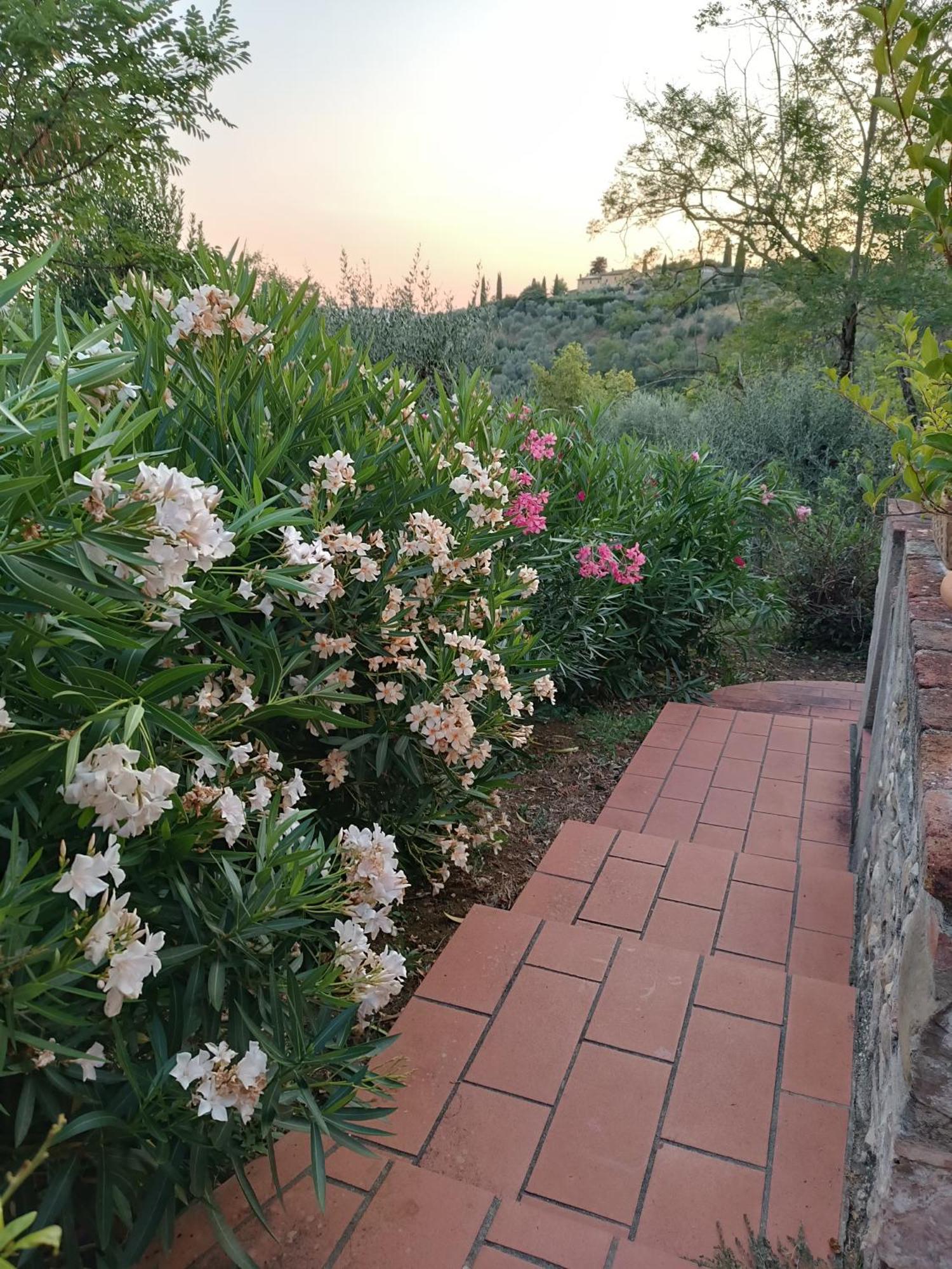 Le Massucce San Casciano in Val di Pesa Buitenkant foto