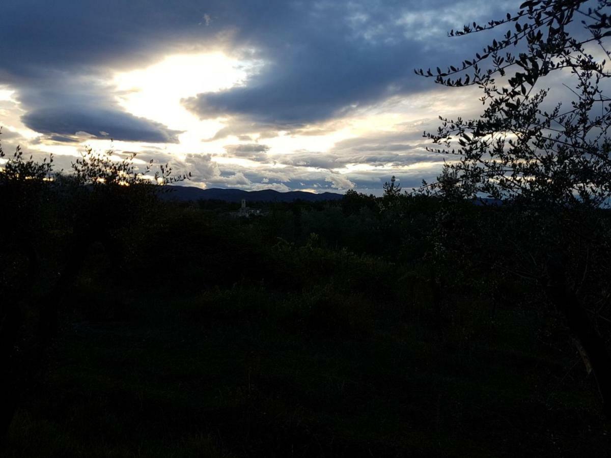 Le Massucce San Casciano in Val di Pesa Buitenkant foto
