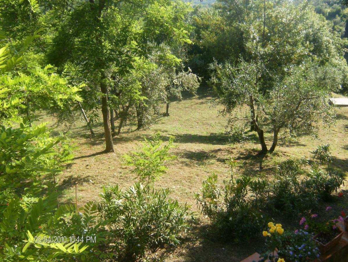 Le Massucce San Casciano in Val di Pesa Buitenkant foto