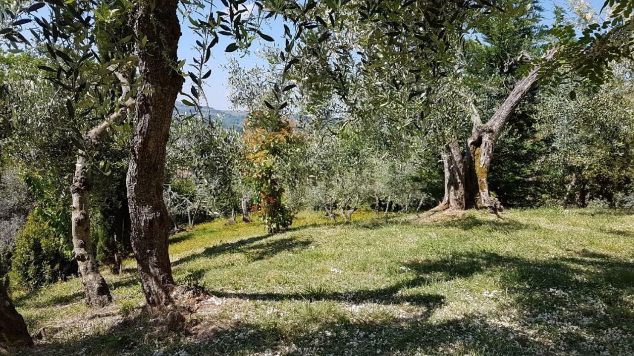 Le Massucce San Casciano in Val di Pesa Buitenkant foto