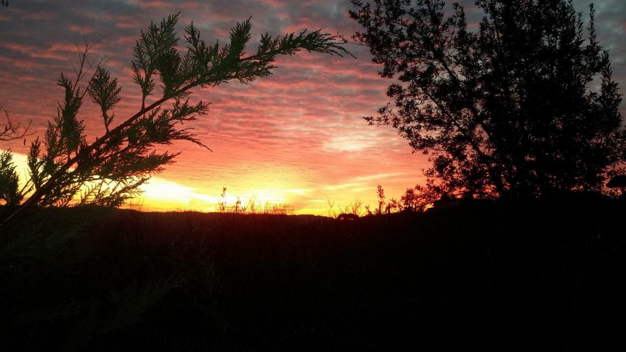 Le Massucce San Casciano in Val di Pesa Buitenkant foto